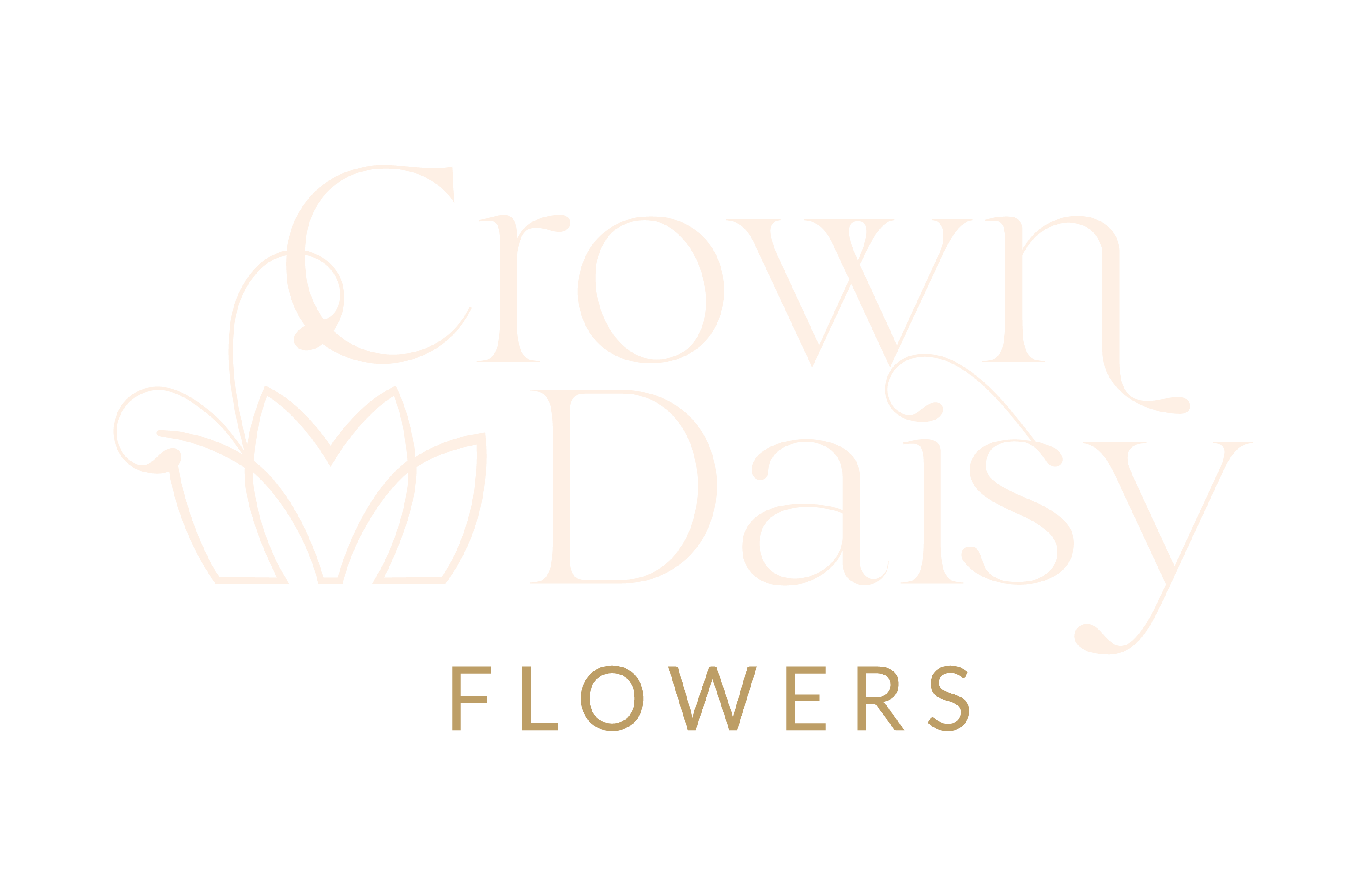 Crown Daisy Flowers